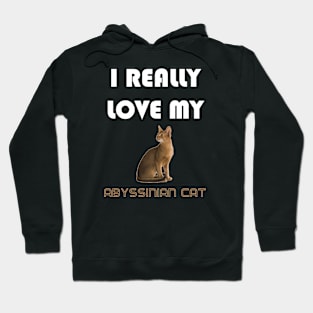 I Really Love My Abyssinian Cat Hoodie